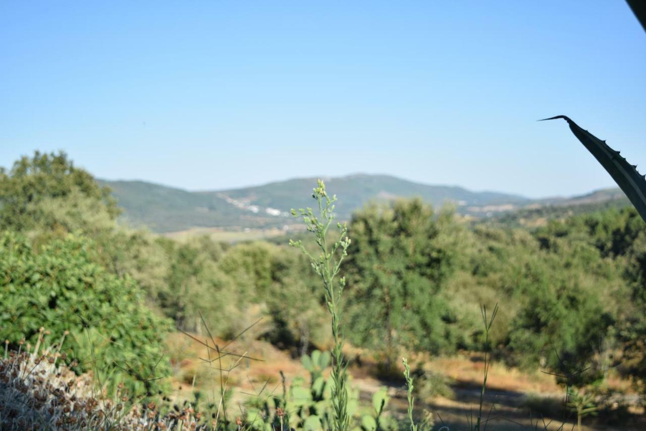 Quinta Da Nave Do Lobo Otel Marvão Dış mekan fotoğraf